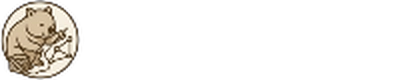 dmp-cloud